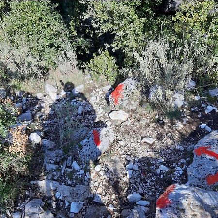 Guesthouse Hamiti Llogara Dukat Zewnętrze zdjęcie