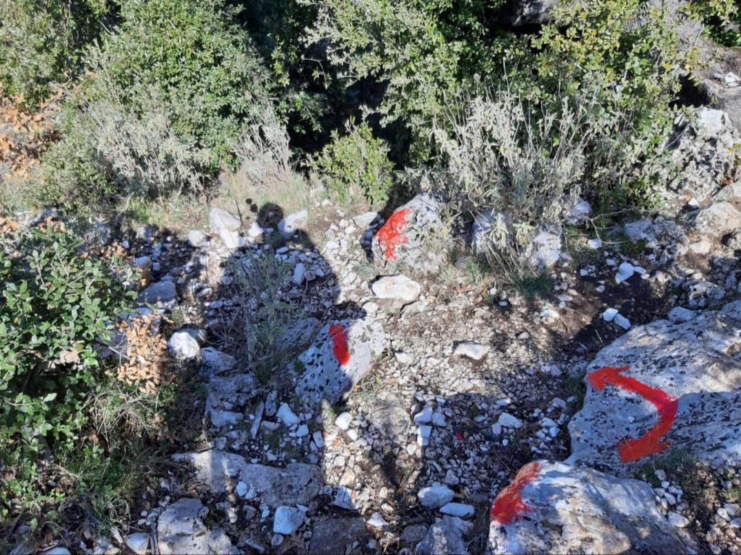 Guesthouse Hamiti Llogara Dukat Zewnętrze zdjęcie